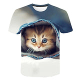 New for 2020 Cool fashion t shirt for men and women two cats print 3d t shirt summer short sleeve t shirts male t shirts XXS-6XL