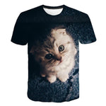 New for 2020 Cool fashion t shirt for men and women two cats print 3d t shirt summer short sleeve t shirts male t shirts XXS-6XL