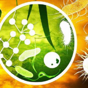 Biotecnologia no Melhoramento de Plantas