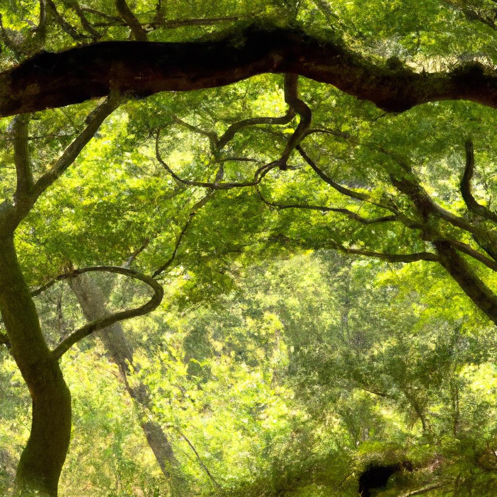 Boas Práticas para Promover a Biodiversidade